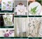 Eco Printing & Flower Pounding Kit – Natural DIY Art Set for Creating Handbags, Clothing, Home Décor, and Fabric Crafts. A Fun and Creative Activity for Parents and Children to Enjoy Together.